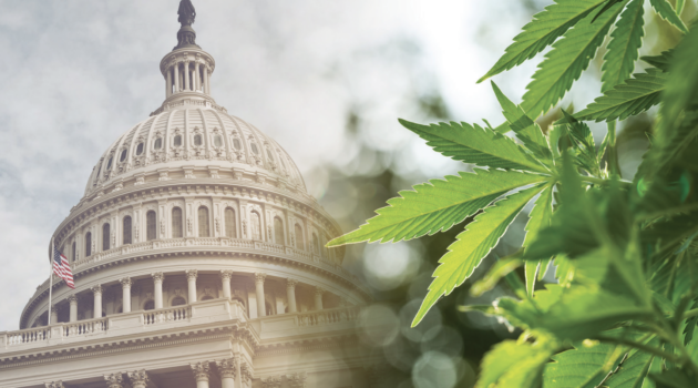 The Most Notable Federal Marijuana Actions of 2024